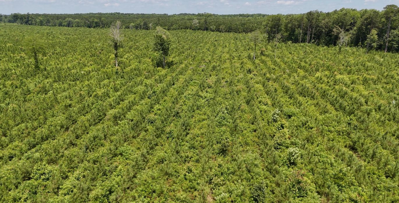 Chowan Drone Photo 12