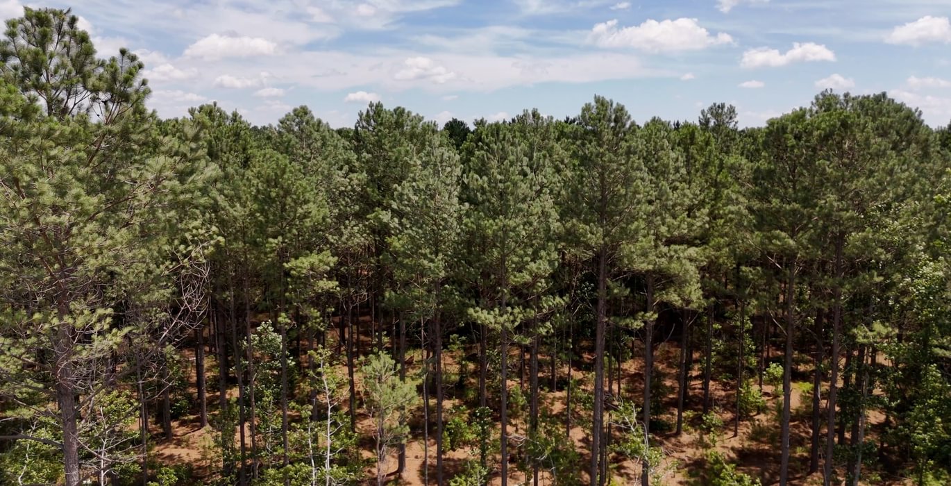 Chowan Drone Photo 13