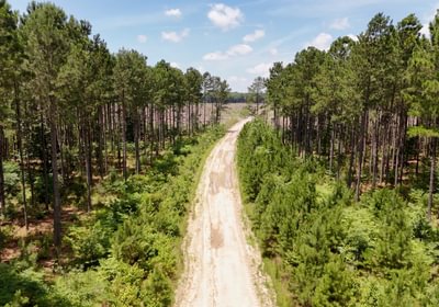 Chowan Drone Photo 15
