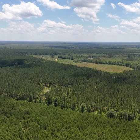 PENDING-Two Colonies Timberlands