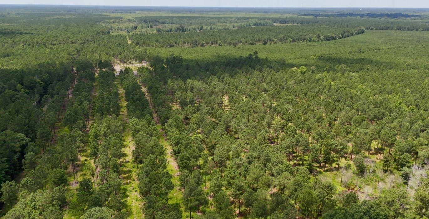 Chowan Drone Photo 20