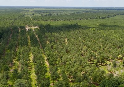 Chowan Drone Photo 20