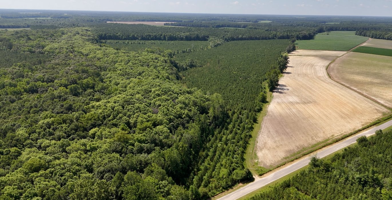 Chowan Drone Photo 24