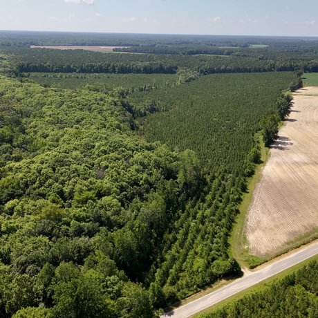 PENDING-Two Colonies Timberlands