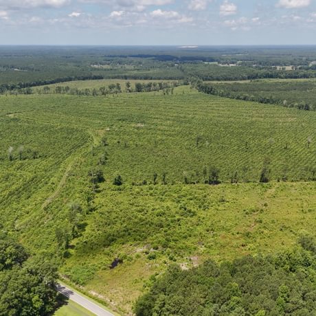 PENDING-Two Colonies Timberlands