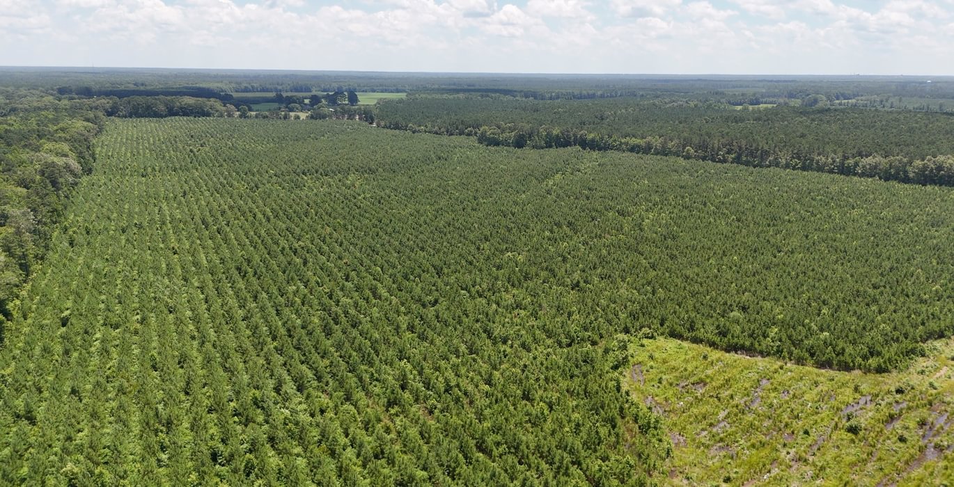 Chowan Drone Photo 26