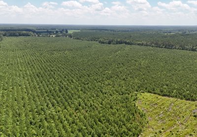 Chowan Drone Photo 26