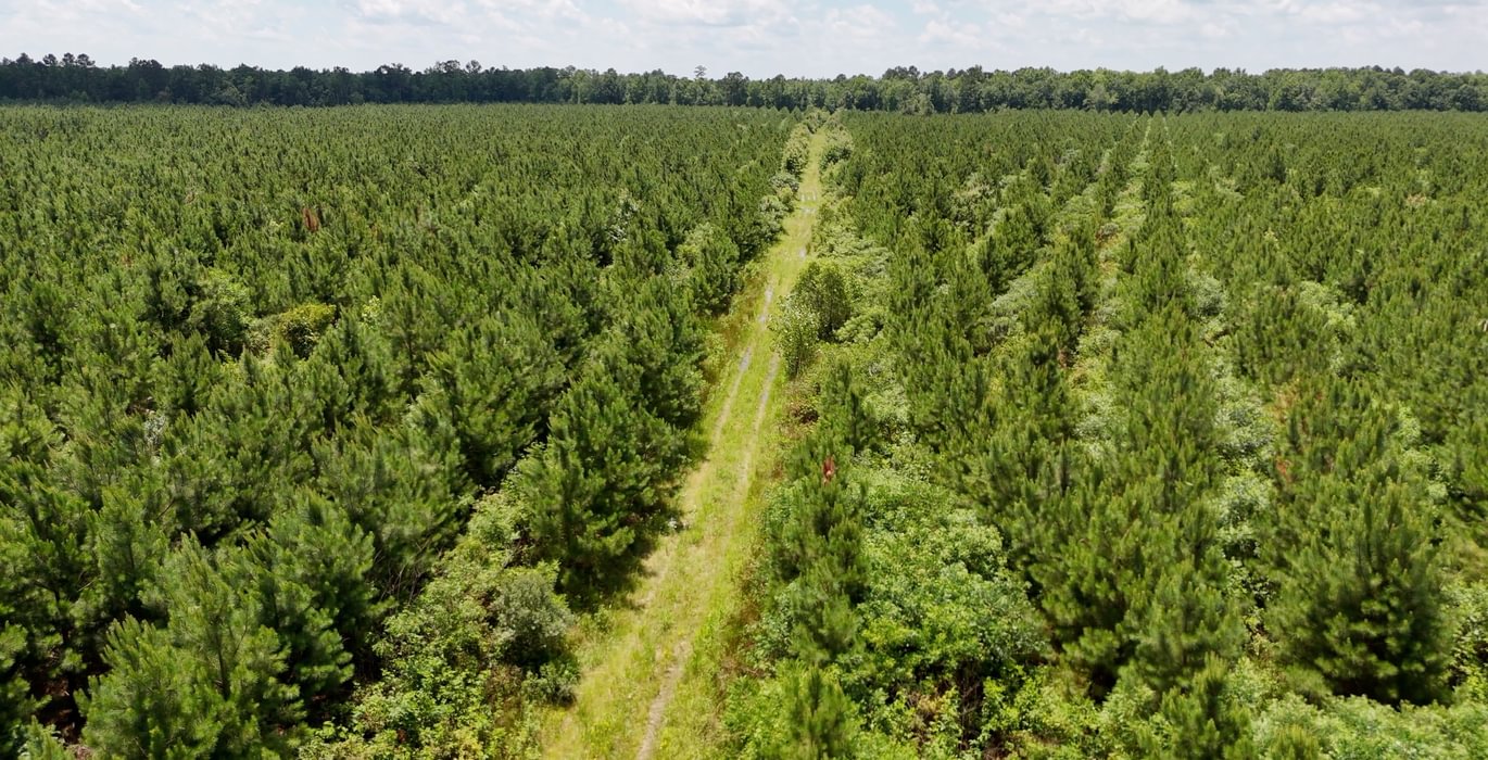 Chowan Drone Photo 28
