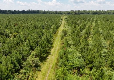 Chowan Drone Photo 28