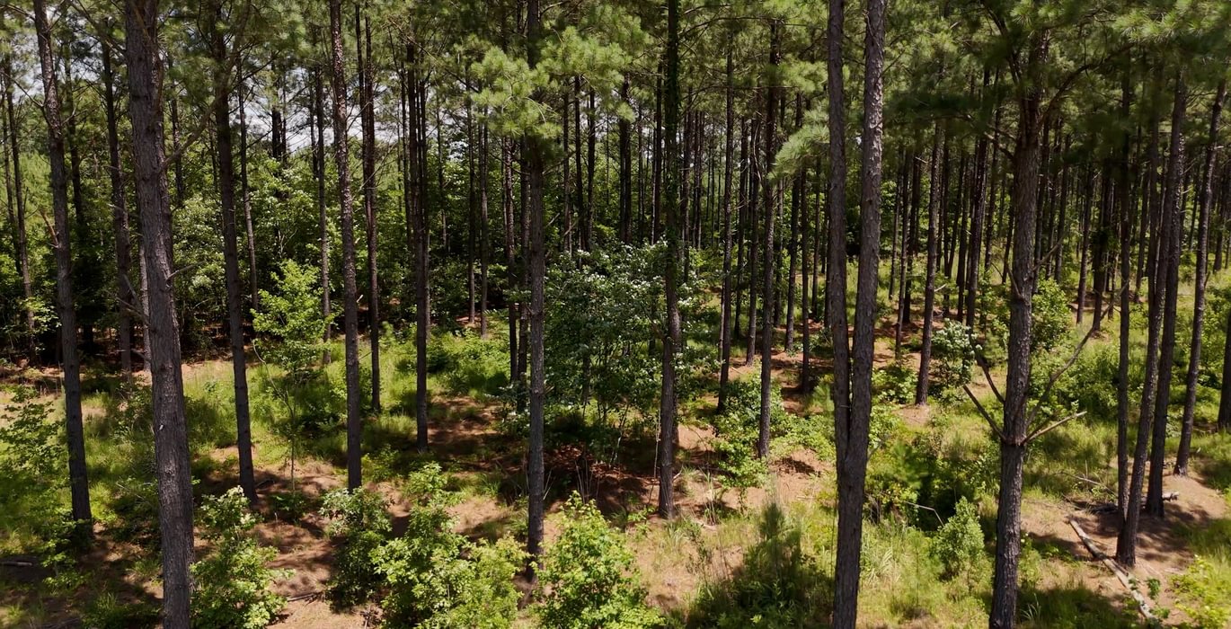 Chowan Drone Photo 3