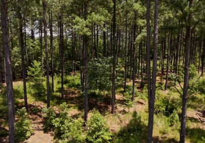 Chowan Drone Photo 3