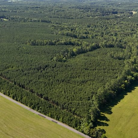 PENDING-Two Colonies Timberlands