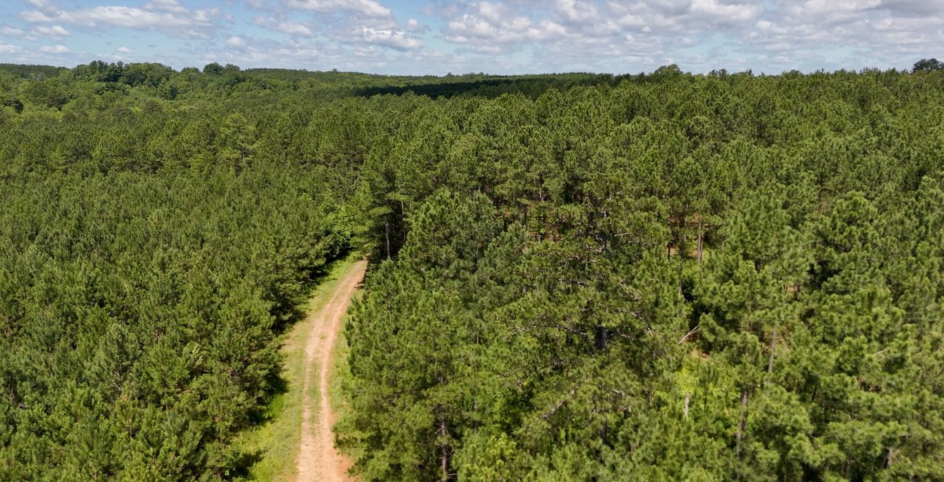 Gretna Drone Photo 6