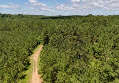 Gretna Drone Photo 6