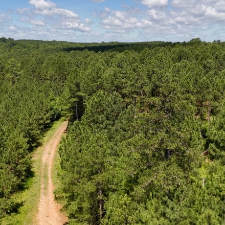 PENDING-Two Colonies Timberlands
