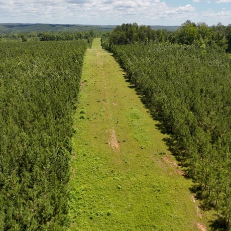 PENDING-Two Colonies Timberlands