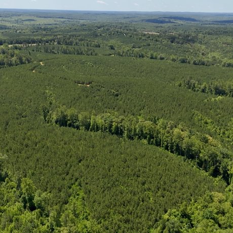 PENDING-Two Colonies Timberlands