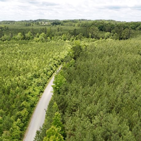 PENDING-Two Colonies Timberlands