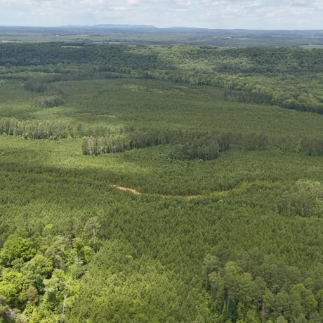 PENDING-Two Colonies Timberlands