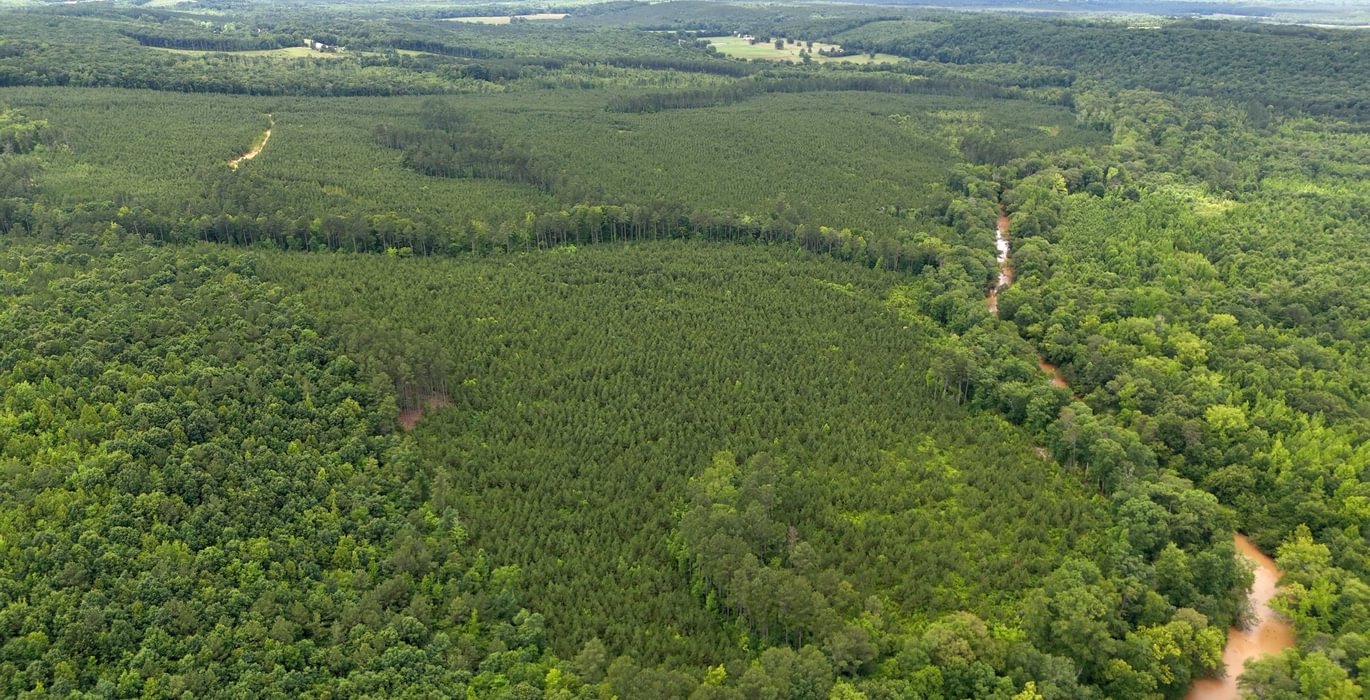 Gretna Drone Photo 14