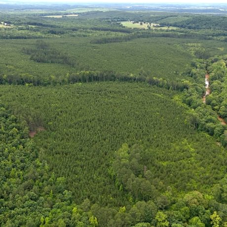 PENDING-Two Colonies Timberlands