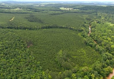 Gretna Drone Photo 14