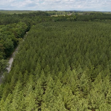 PENDING-Two Colonies Timberlands