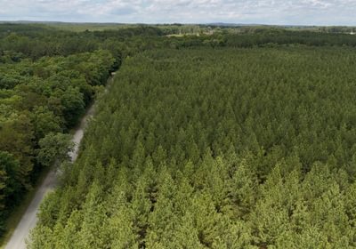 Gretna Drone Photo 15