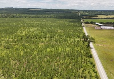Gretna Drone Photo 16