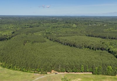 Gretna Drone Photo 23