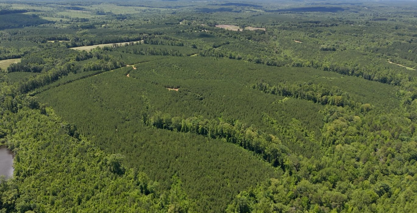 Gretna Drone Photo 24