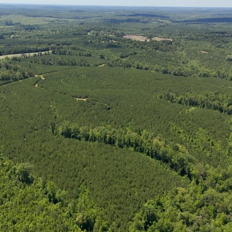 PENDING-Two Colonies Timberlands