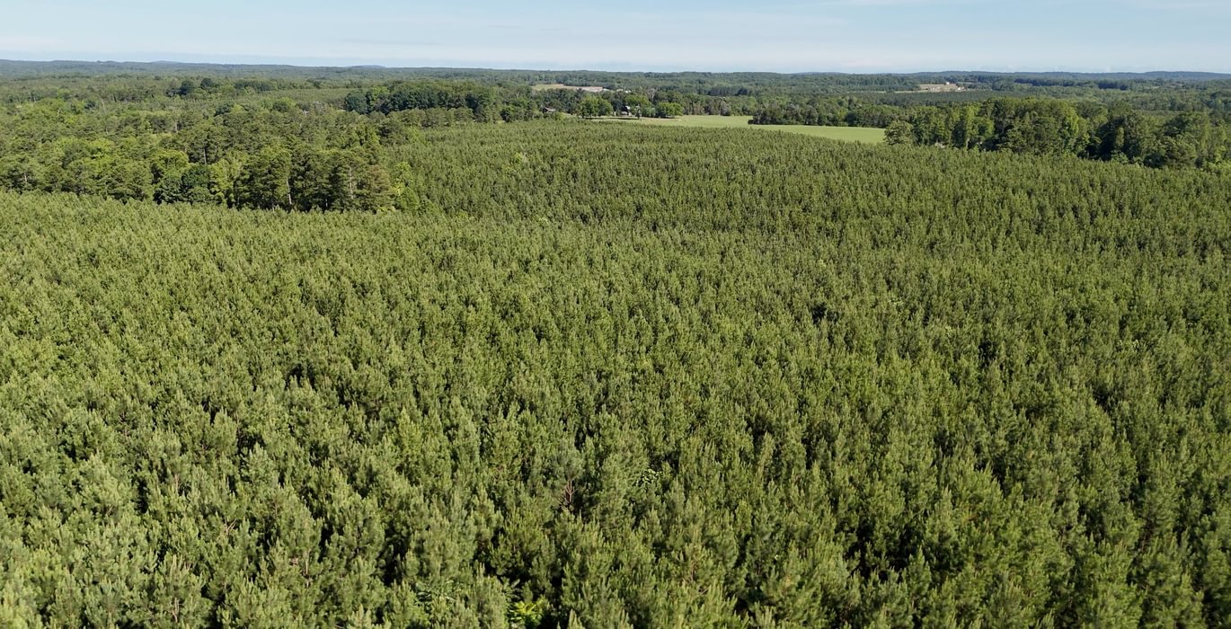 Gretna Drone Photo 3