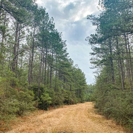 SOLD-Pine Basin