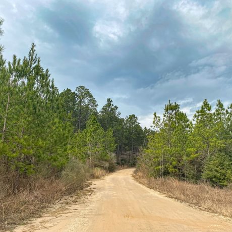 SOLD-Pine Basin