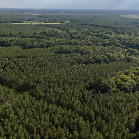 PENDING-Two Colonies Timberlands