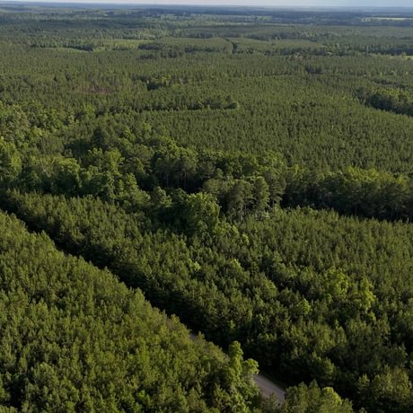 PENDING-Two Colonies Timberlands