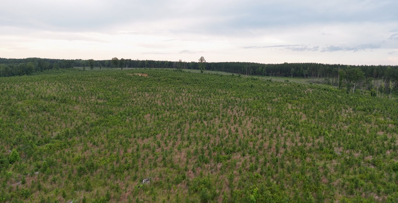 Lunenburg Drone Photo 16