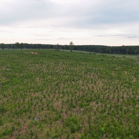 PENDING-Two Colonies Timberlands