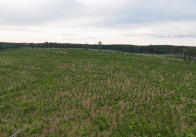 Lunenburg Drone Photo 16