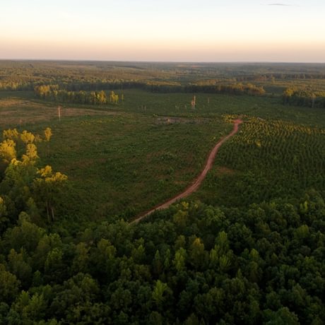 PENDING-Two Colonies Timberlands