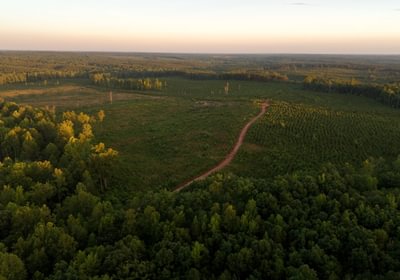 Lunenburg Drone Photo 19