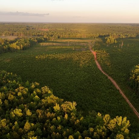 PENDING-Two Colonies Timberlands