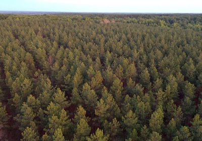 Lunenburg Drone Photo 27