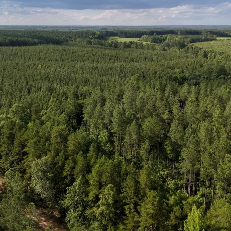 PENDING-Two Colonies Timberlands