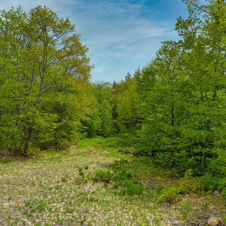 SOLD-Keweenaw Heartlands