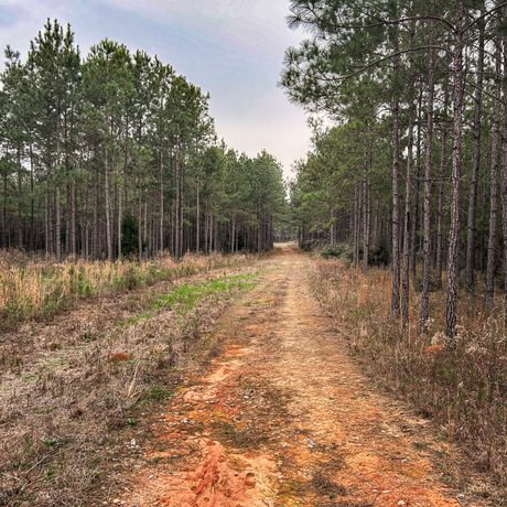 SOLD-Pine Basin