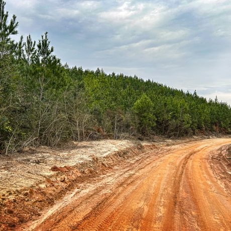 SOLD-Pine Basin