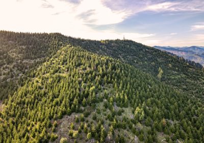 REV DJI 0462