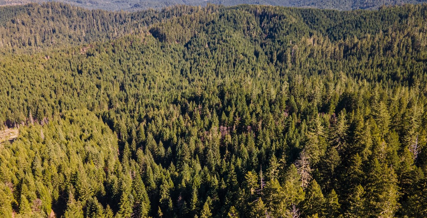 REV DJI 0430